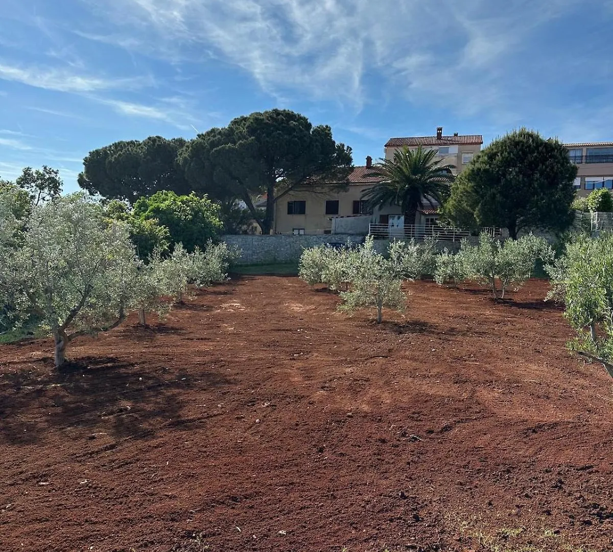 Fragrances Of Istria - The Olives - On The Sea Of Stoia Apartman