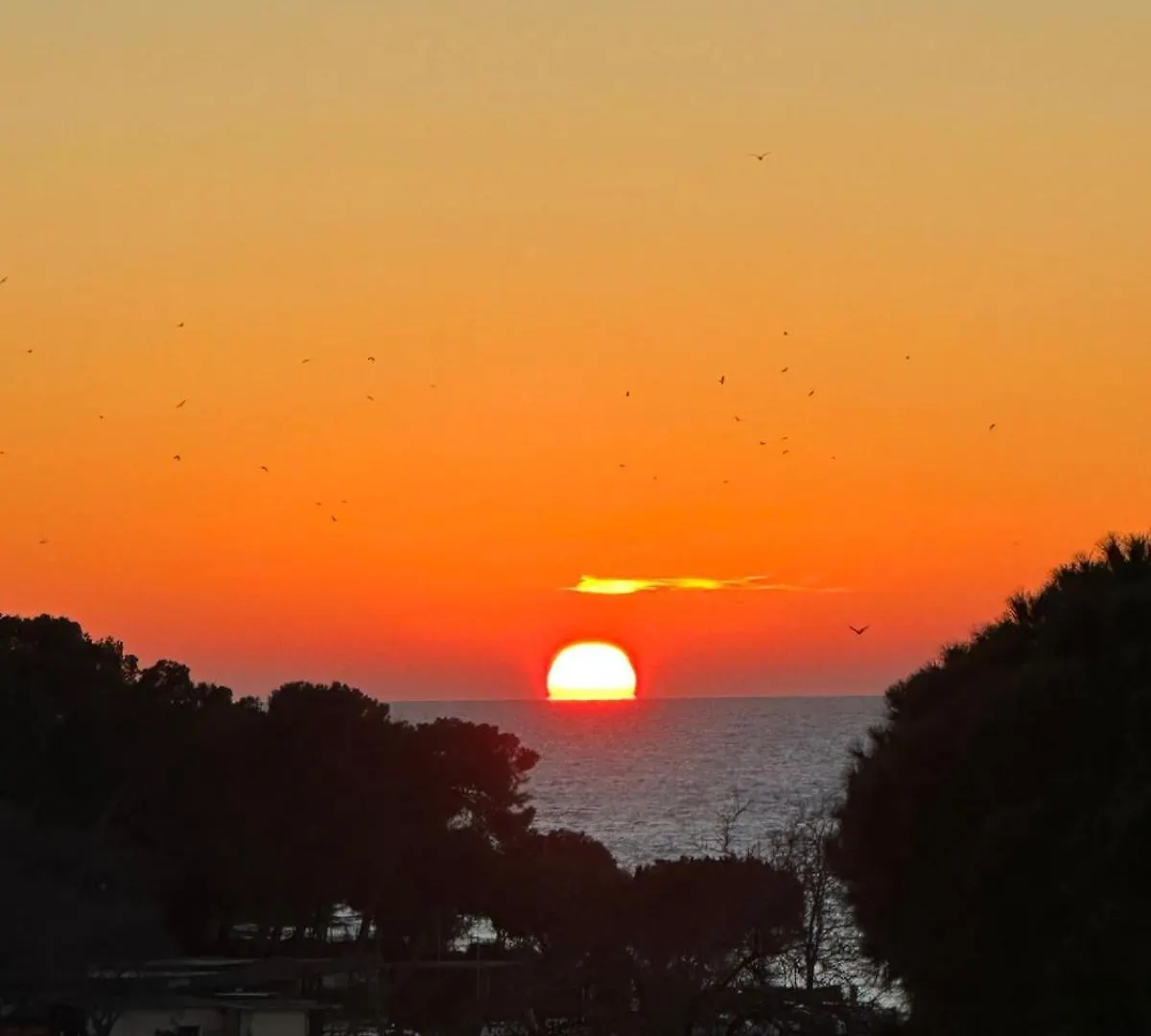 Apartman Fragrances Of Istria - The Olives - On The Sea Of Stoia