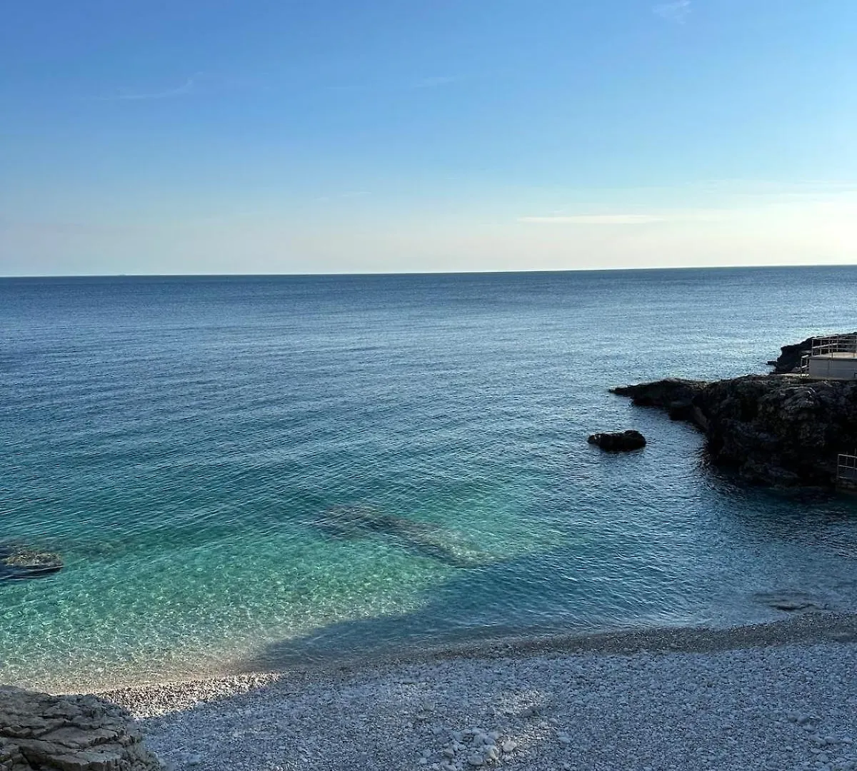 Fragrances Of Istria - The Olives - On The Sea Of Stoia Croatia